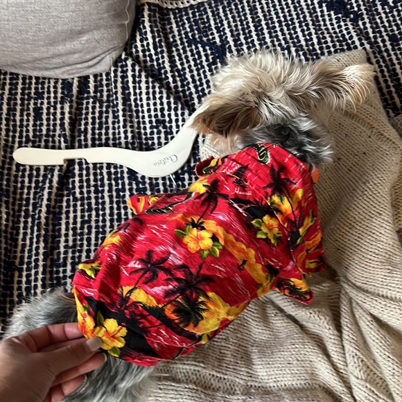 Doggie Hawaiian Shirt 🐶 - Picture 3 of 3